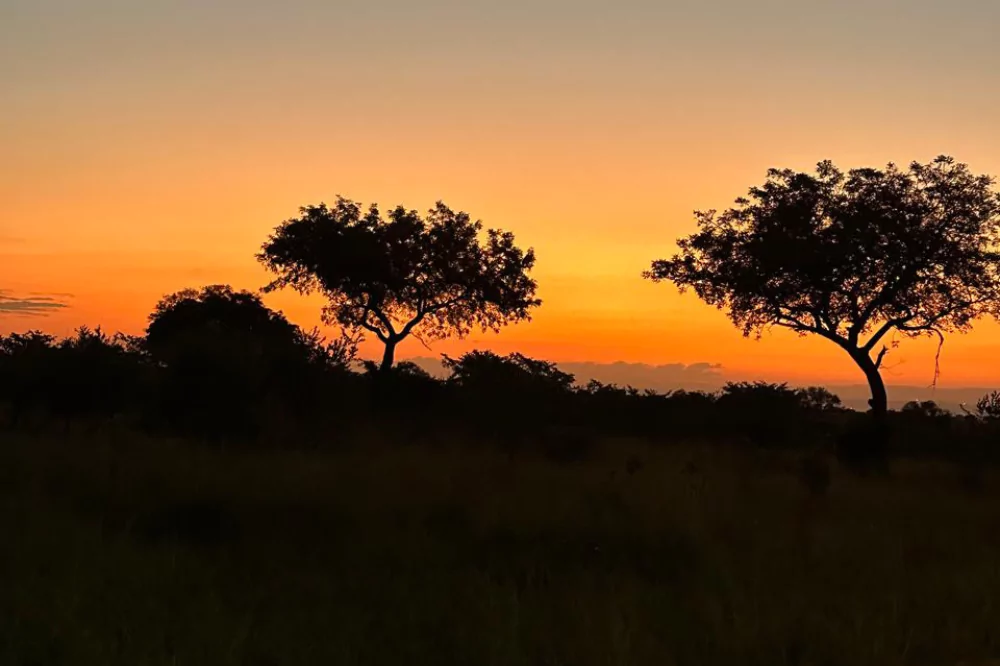 African Sunrise 12